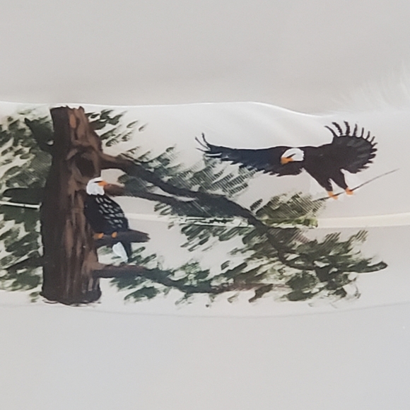 Original Feather Painting Artist: Donald Korach Oil on a Feather 2x9" Bald Eagle - Picture 2 of 5